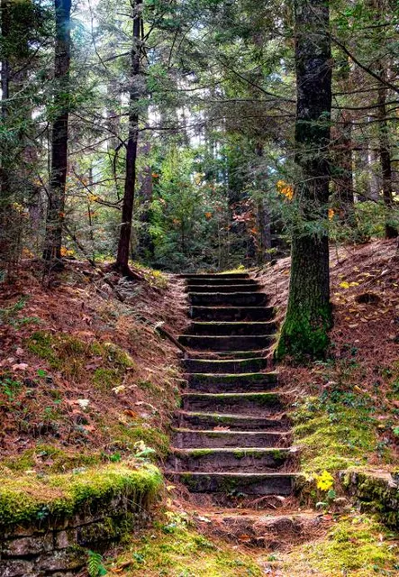 Wendell State Forest