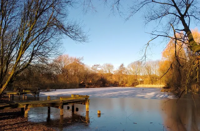 Brinkburn Pond Nature Reserve