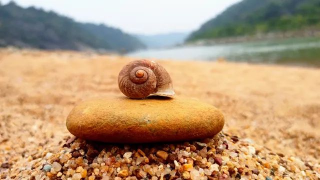 Sonamuni Jungle Beach