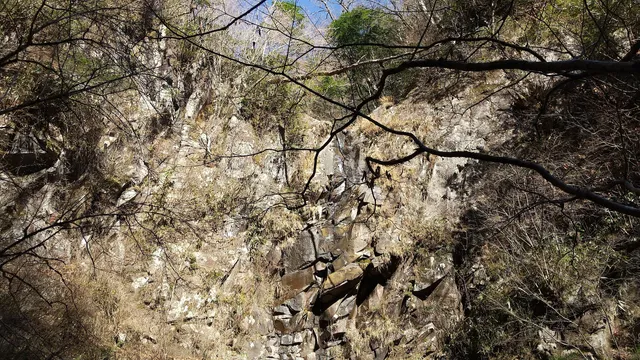 photo-1