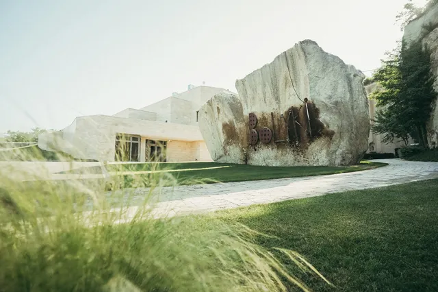 Bolyki Pincészet and Vineyards