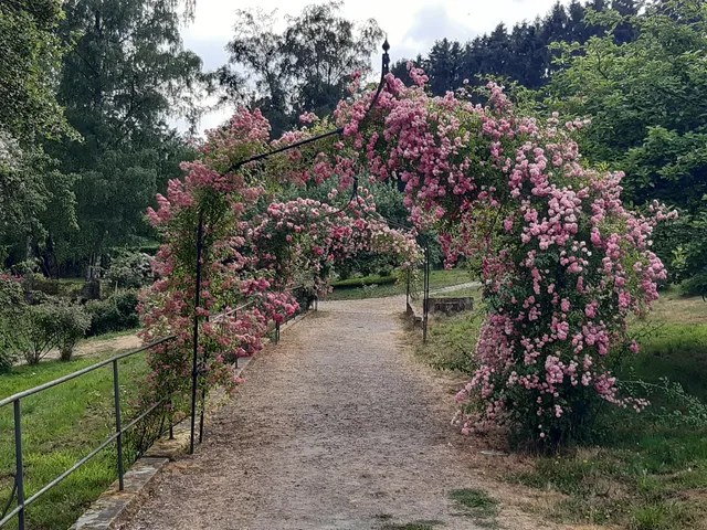 Wildrosengarten Fasanerie