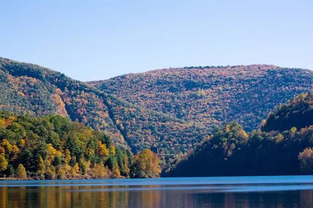 Sinnemahoning State Park