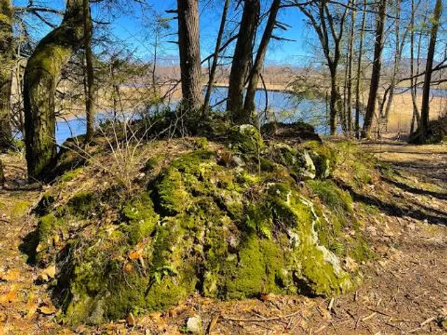 Bartholomew's Cobble Reservation