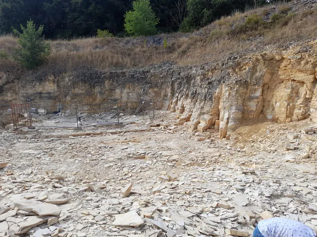 Fossiliensteinbruch Schamhaupten