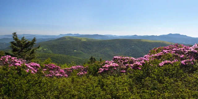 Southern Appalachian Highlands Conservancy