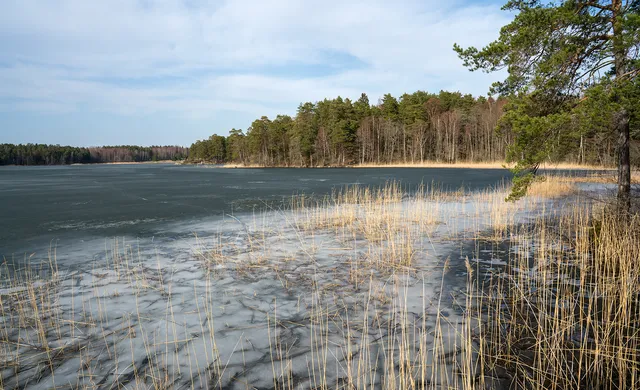 Lillsjön-Örnässjöns naturreservat