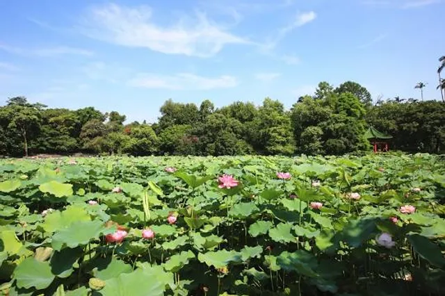 Taman Tasik Bandar Temerloh