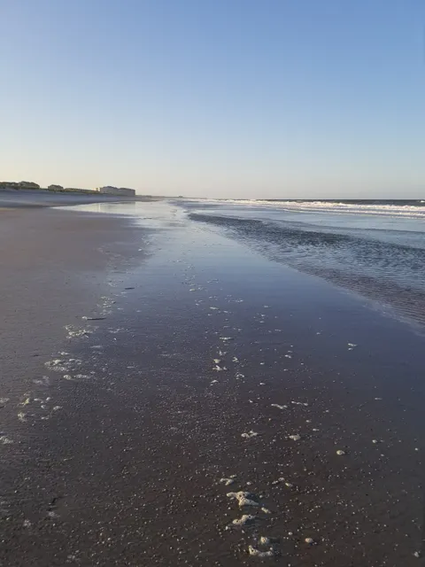 Amelia Island Beach Weddings