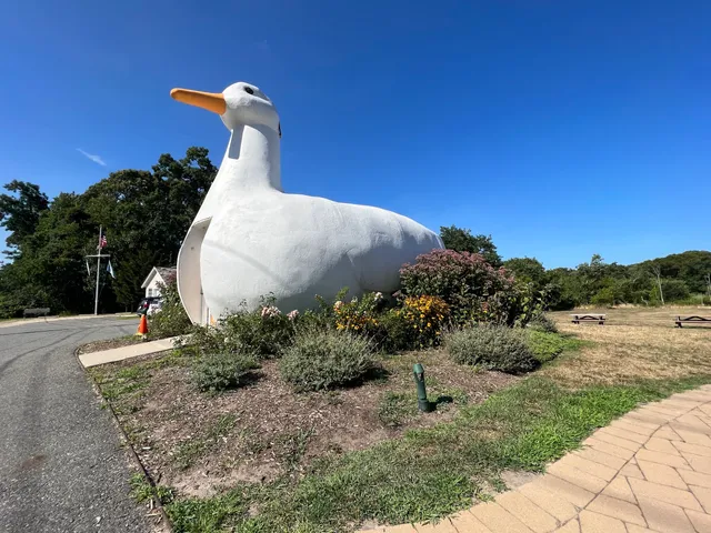 The Big Duck