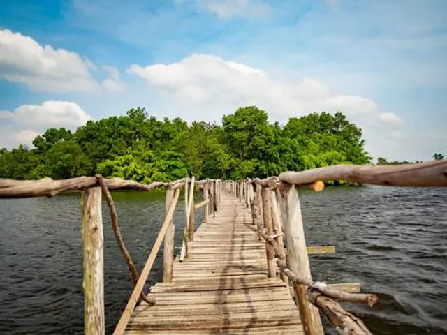 Hutan mangrove Desa Muara Teluk Naga