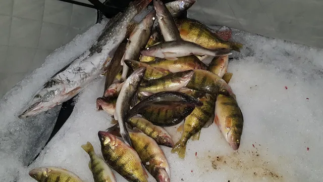 Waubay Getaway Lodge