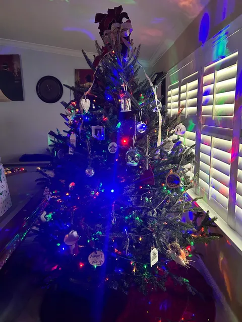 Hart-T-Tree Farms Retail