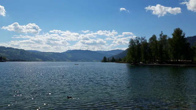Birkenwäldli Spielplatz