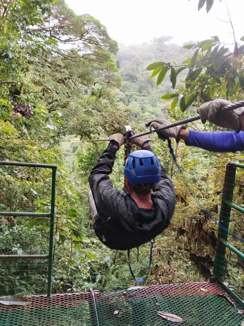 Treetopia Park sales office