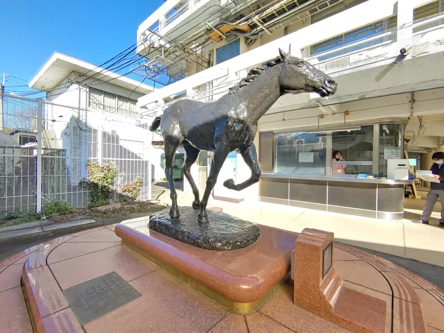 オグリキャップゾウ