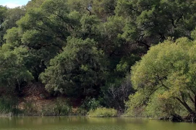 Waterdog Lake & Open Space