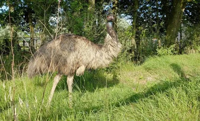 Knockhatch Adventure Park