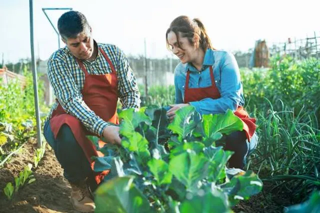 Parc des Côteaux d'Avron