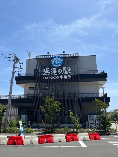 小田原漁港プリン