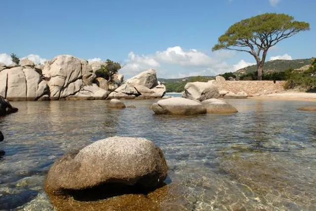 Plage de Palombaggia