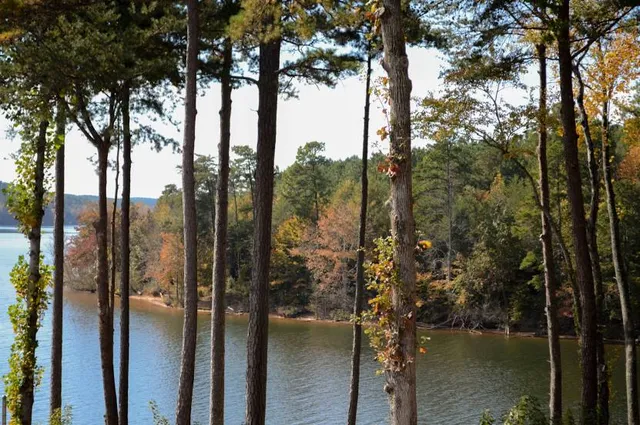 Carolina Lake