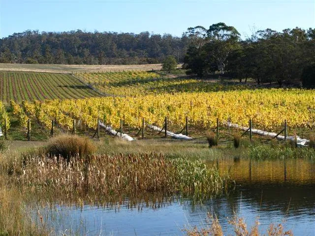 Boutique Wine Tours Hobart