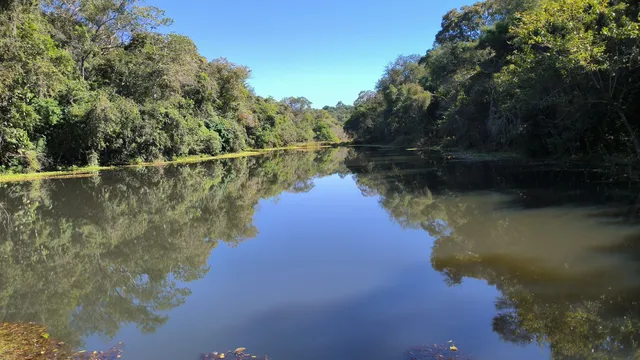 Parque Estadual Vila Rica do Espírito Santo