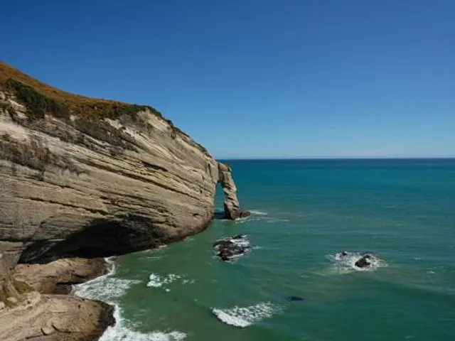 Farewell Spit Eco Tours