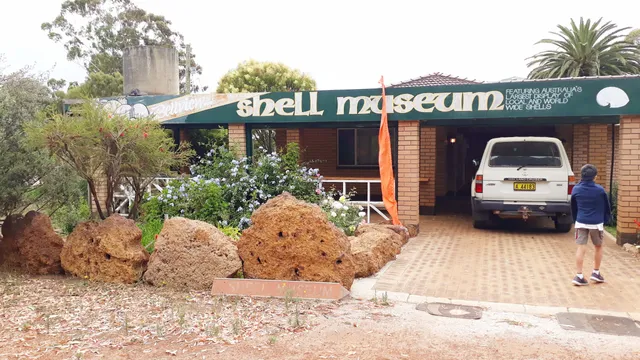 Bellview Shell Collection