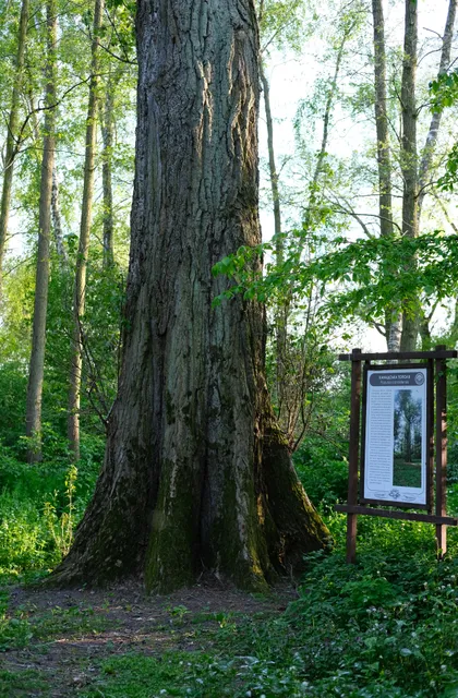 Ostriv Na Ozeri Svityazʹ