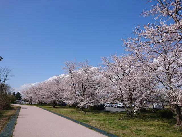 photo-2