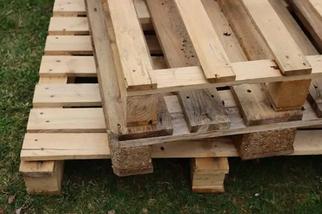 Castle of Saint-Fargeau