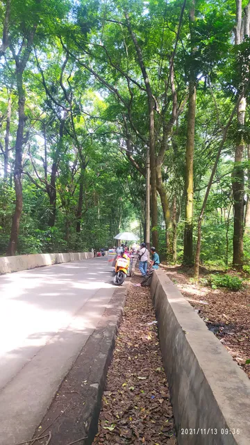 Cikampek research forest