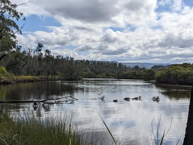 Narrawallee Creek Nature Reserve