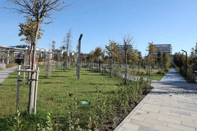 Güngören Millet Bahçesi