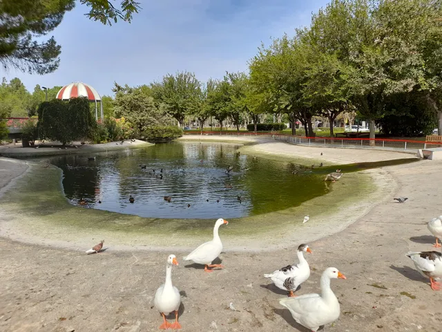 Fofó Park