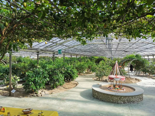 HESPERIDARIUM di Tintori - IL GIARDINO DEGLI AGRUMI