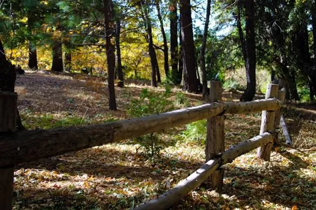 Heaps Peak Arboretum Day Use Area