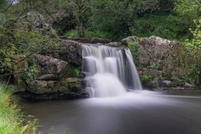 The Municipal District of Piltown