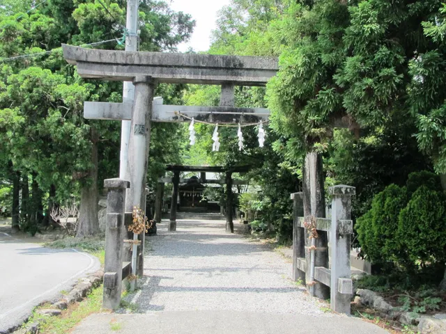 photo-2