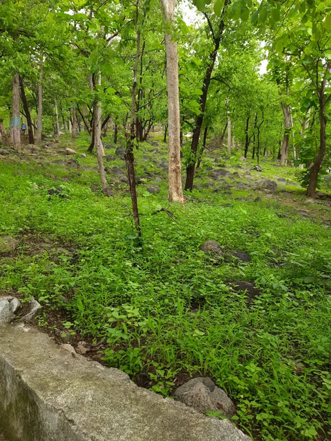 Gangaputra Mytri hotel