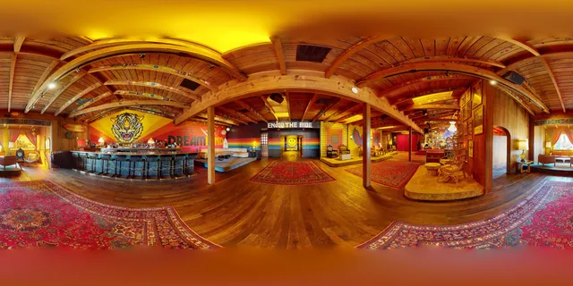 Aviator Nation Dreamland