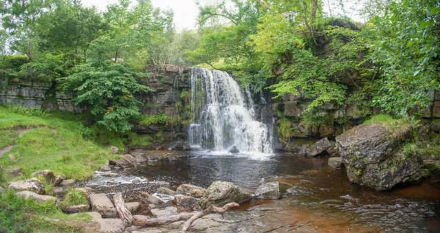 East Gill Force