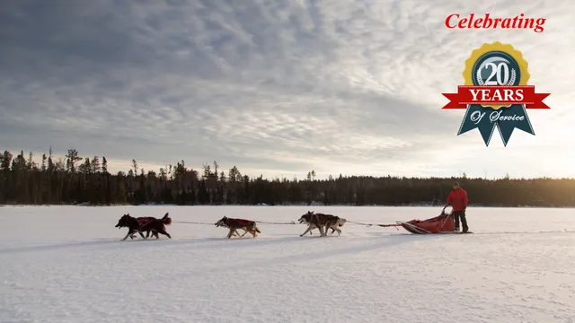 White Wilderness Sled Dog Adventures
