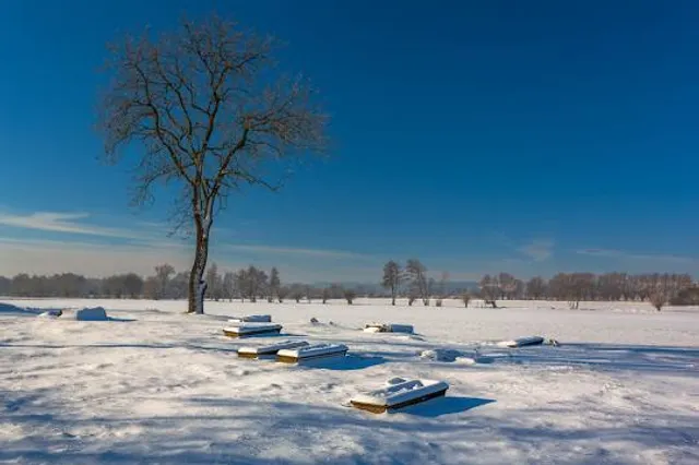 Nadwiślański Park Krajobrazowy
