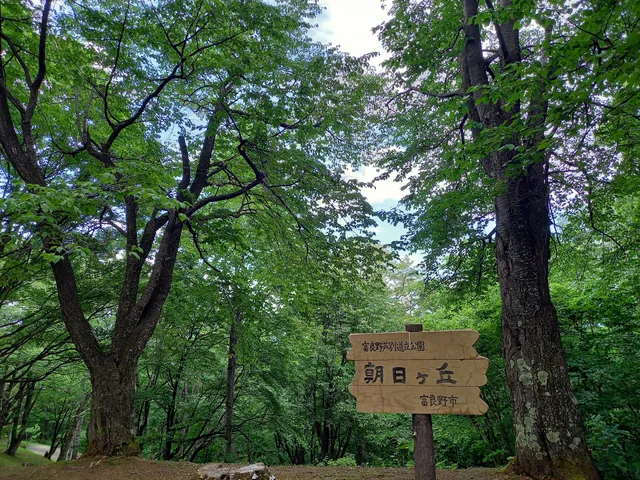 photo-2