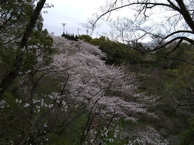 Maruyama Park