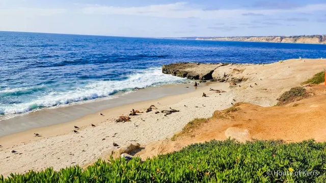 Scripps, Ellen B Park