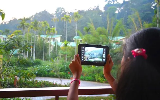 Mercara Gold Estate Coffee Plantation